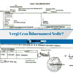 Vergi Ceza İhbarnamesi Nedir